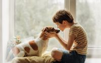 Young boy kissing Jack Russel on nose