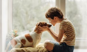 Young boy kissing Jack Russel on nose