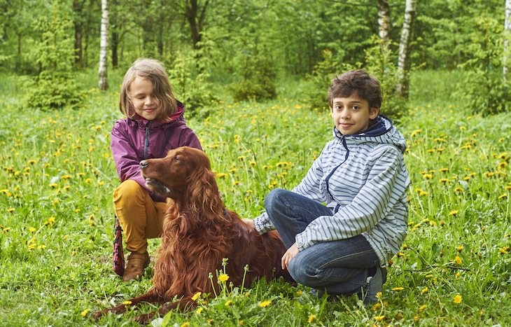 Sister and brother sit with Irish Setter dog in green field