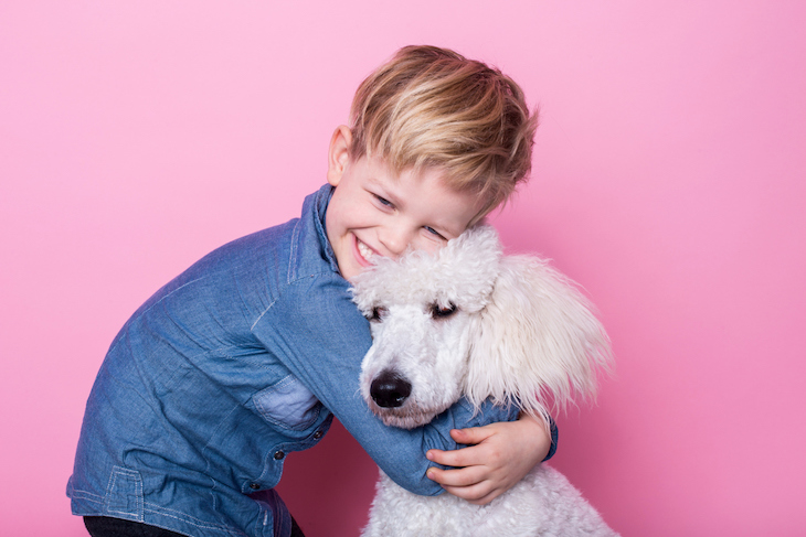 Young boy cuddling white poodle on pink background