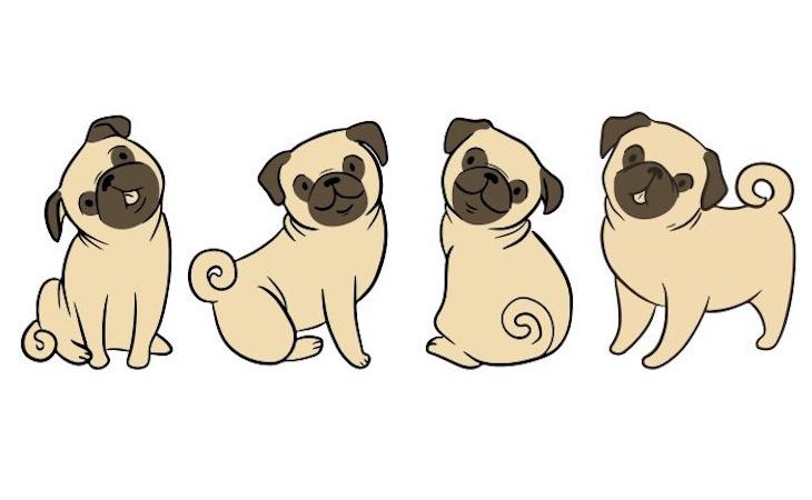 how-to-draw-a-pug