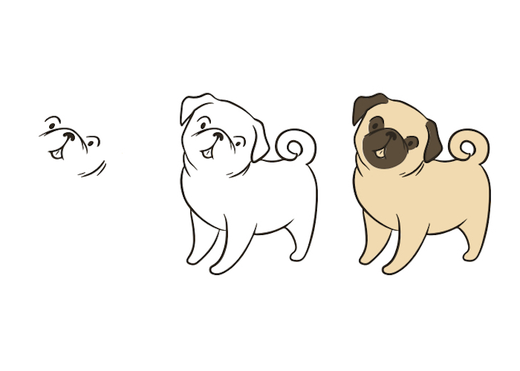 Step-by-step drawing process of standing Pug