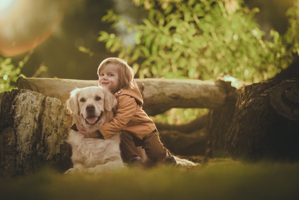 Child hugging a Golden Retriever