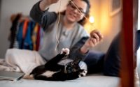 Cat playing with owner