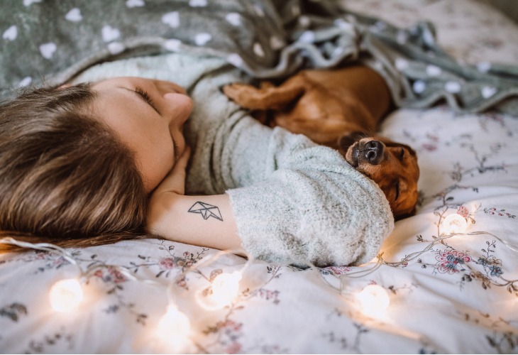 Dachshund lying down with its owner