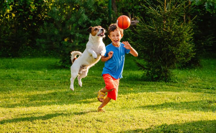 Play ball with dog outside