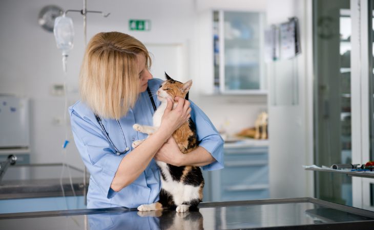 A vet holding a cat in her arms on table