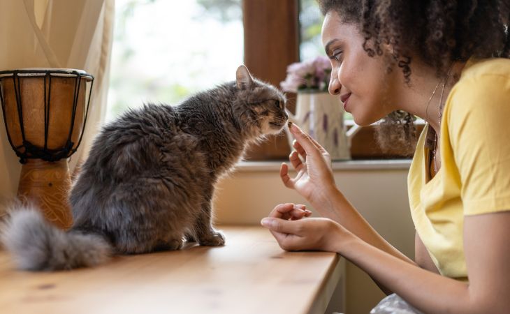 Owner giving treat to cat