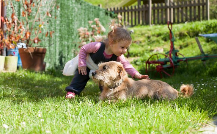 Young girl want to pet dog