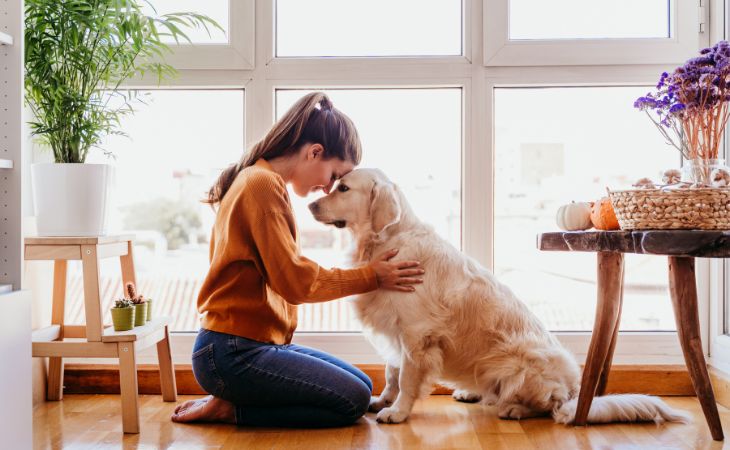 dog spaying neutering sterilizing pet parent