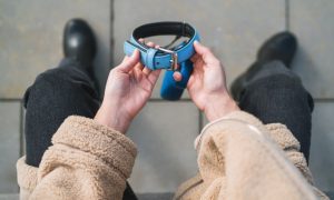 Cope with pet loss collar