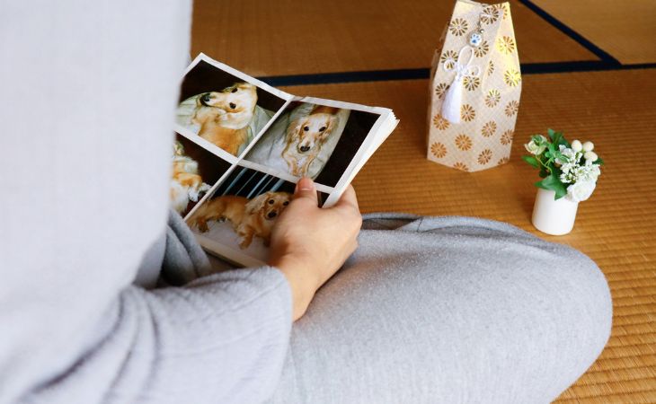 Cope with pet loss collar album