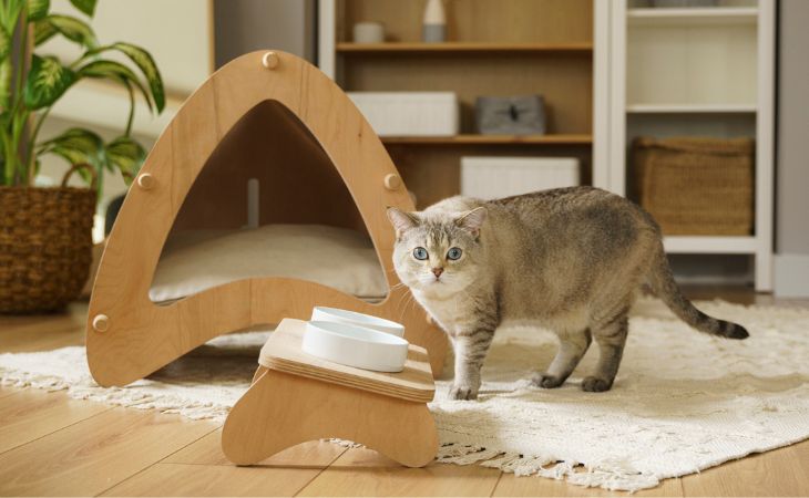 orthopedic cat bowl titled raised ceramic