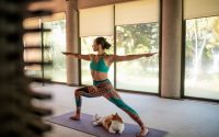 exercise with cat yoga