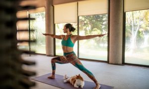 exercise with cat yoga