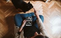 pregnant baby prepare cat ultrasound