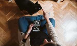 pregnant baby prepare cat ultrasound