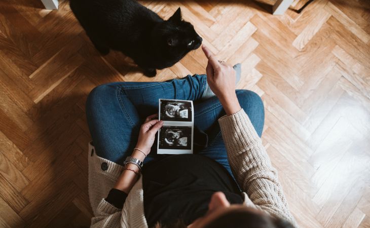 pregnant baby prepare cat ultrasound